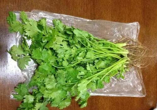 保存香菜,不要直接放冰箱教你正确方法,香味浓郁,放1年不坏