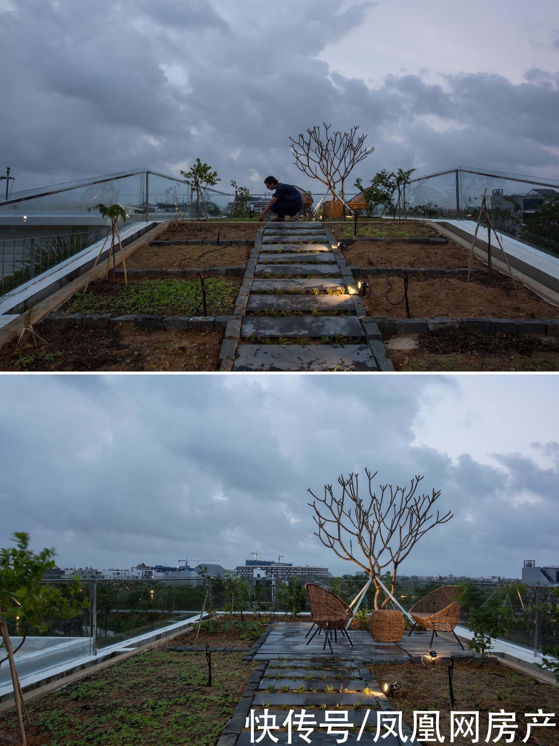 百叶窗|这对夫妻把屋顶改造成菜园，瓜果蔬菜都吃不完，屋内还能冬暖夏凉