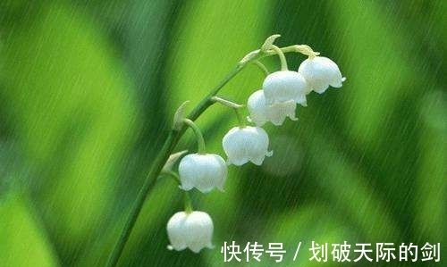 诗人#唐朝诗人写出一首好诗,发表在哪里,从而被别人读到和流传?