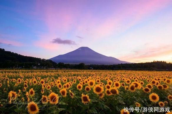 让人挪不开眼！日本富士山的四季美景 绝美风光一览