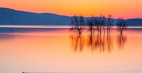 上堂开示颂@高僧写下的一首诗,每一句都是至理名言,屡屡被人引用