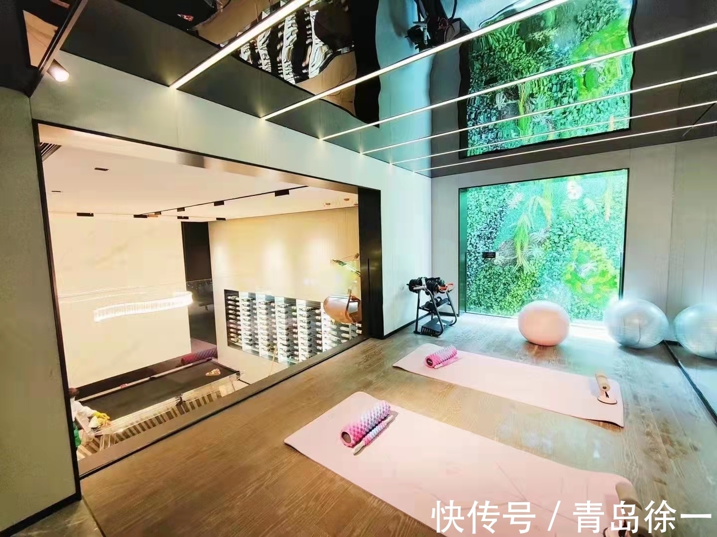 别墅|双拼别墅压轴产品,面积222.37平,院子234平,超大开间10.8米