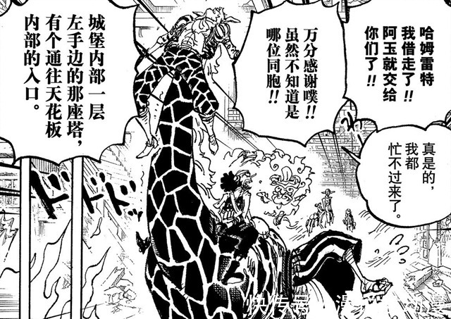 乌索普|海贼王1036话:乌索普生存之道,不轻言放弃生命,不随便抛下同伴