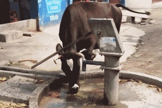 |搞笑GIF:火车站见到的情形,看到这一幕我又相信爱情了