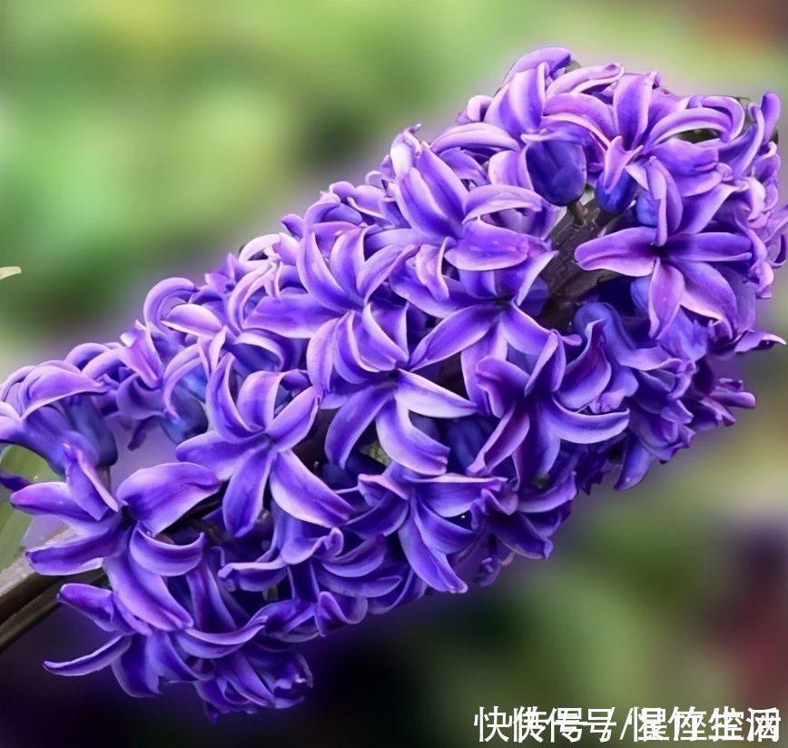 苦难|啥日子出生的人,苦难中磨砺,当下越艰难,未来就越有成就