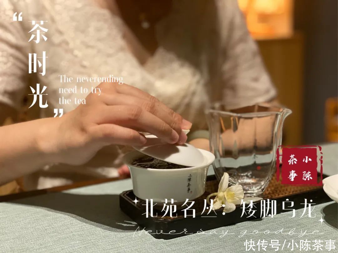 凤凰茶|凤凰单丛、凤凰水仙、岩茶水仙，从历史角度解读水仙茶叶的迁徙史