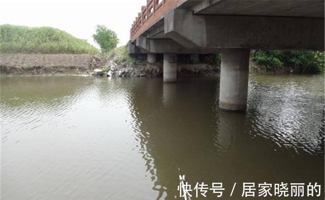 垂钓|夏季野钓，这种钓位才是最佳钓位，可以用这些不同的方法垂钓