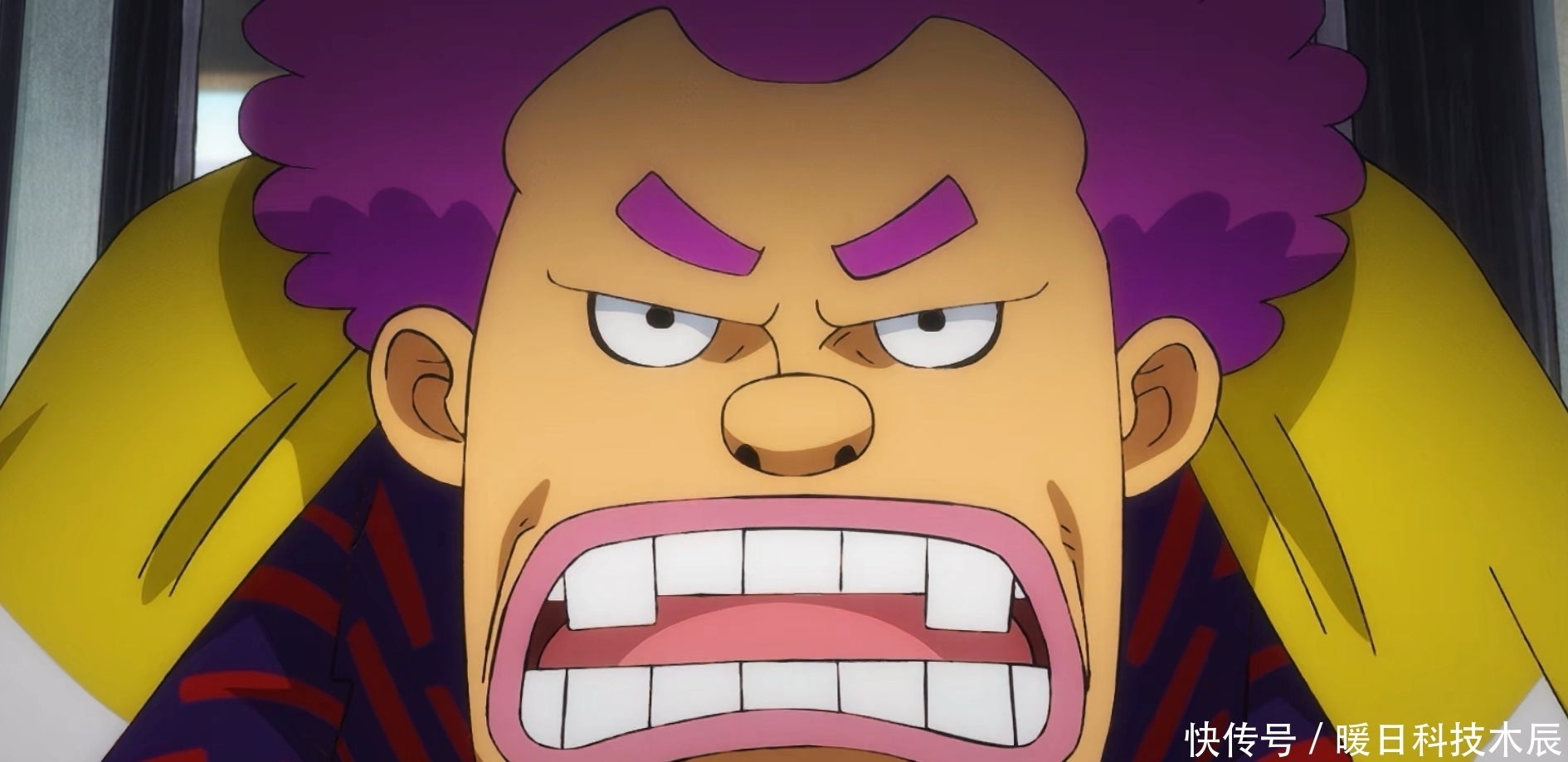 海贼王964集的三个错误决定,寿喜烧传大蛇将军代理,白胡子同意蒂奇上船