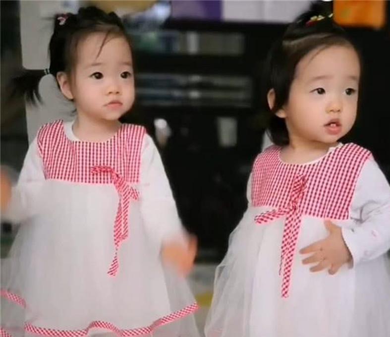 孩子|有种基因叫“杨威家双胞胎”,明明是双胞胎,却一个随爸一个随妈