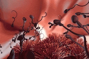 排卵期|精子和卵子相遇需要多少时间超过这个时间没有五个反应,别等了