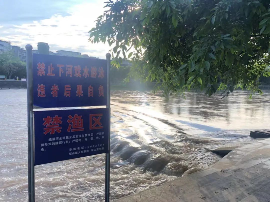 营救|两名儿童不慎落水！多位乐山市民见义勇为，协力营救！