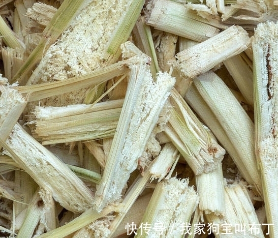 鸡蛋壳|要想盆栽花卉长的旺,万能土不能少