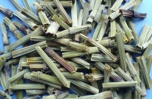 日常生活中|农村一株不起眼的野草，没想到还是我们日常生活中最重要的中草药