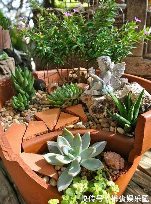 围栏|养多肉搭配什么样的花盆好?利用''碎花盆''造景,个个与众不同