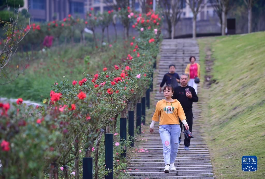 环湖绿道|重庆云阳：环湖绿道提升城市旅游休闲功能