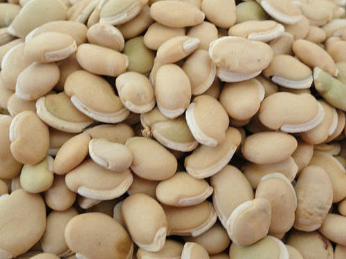 脾虚腹泻|湿气重的人，秋天多吃6种“天然祛湿”食物，排湿除毒百病消