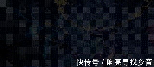 三哥|《斗罗大陆》小舞献祭有多虐唐三秒变丧尸,蓝银草戒指令人泪奔