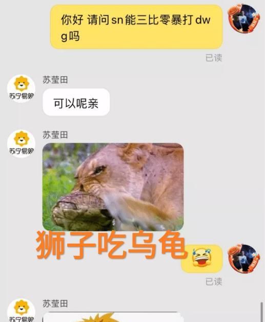 高手|“全员化身整活高手”，SN官方客服火了，这是进行了集体培训吗