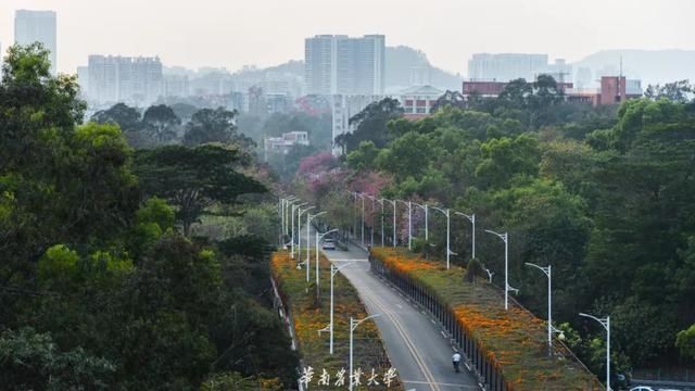 好家伙，这是什么偶像剧大学啊……