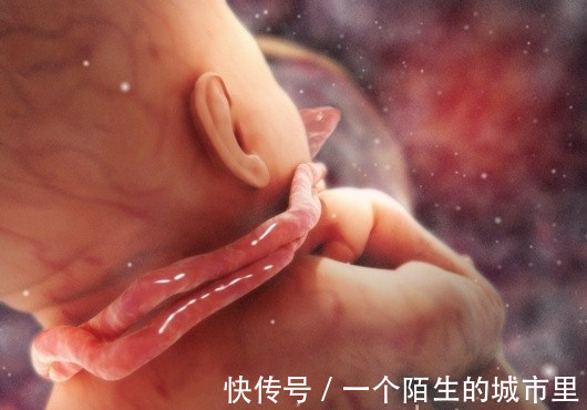 胎动|脐带绕颈常发生在这几周,四大原因孕妈早了解,早做好预防工作