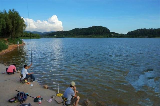 新手钓鱼想要好鱼获,得先了解这四个入门的基础常识