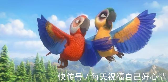 稻田鸭|熊出没这几位带翅膀的角色,恐怕被遗忘了,最多认识前两位