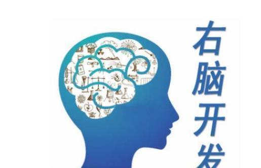 记忆力|孩子有以下特征,说明右脑发达,好好栽培很可能成为“学霸”