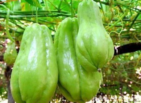 女性不愿老太快，要多吃三种食物，排毒养颜，改善体质，早吃早好