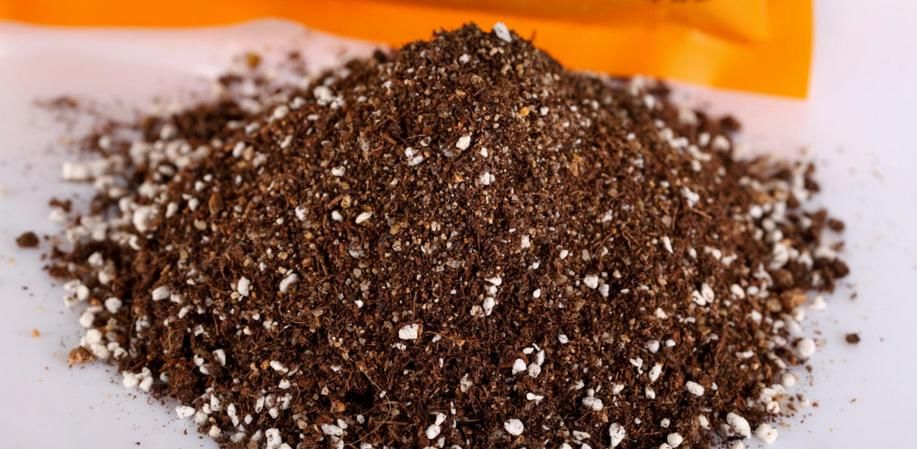 泥炭土、煤渣、火山石养花,更适用于多肉,加强盆栽土透气性