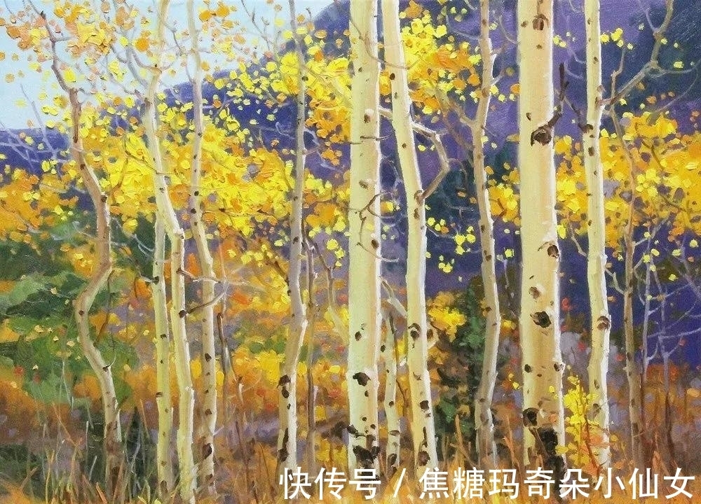 美国肖像协会!白桦林之美