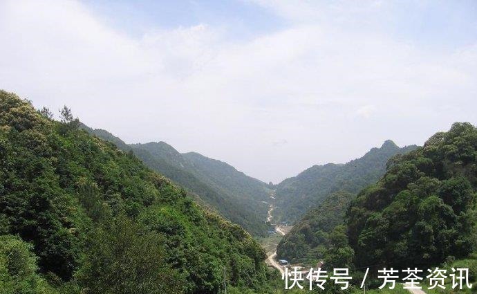 阴宅$落魄秀才发现处风水宝地,设计自尽后安葬于此,从此后裔人才辈出