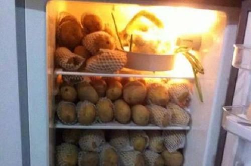 这5种食物宁可丢掉,也别塞冰箱,否则变质得更快,赶紧拿出来