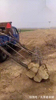 |搞笑GIF:妹子身材这么好,还坚持去健身,我也要坚持去