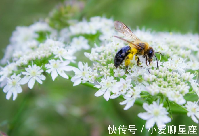 好运|2月，运势大旺，事业腾飞，好运接二连三，生活如鱼得水的3星座