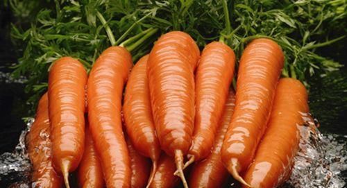 肠胃|女性到了中年坚持常吃以下食物，排毒清肠，调理肠胃，呵护身体