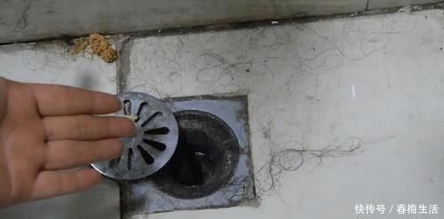 家人|卫生间里老有小黑虫赶紧倒一碗它，异味黑虫全消灭，快告诉家人