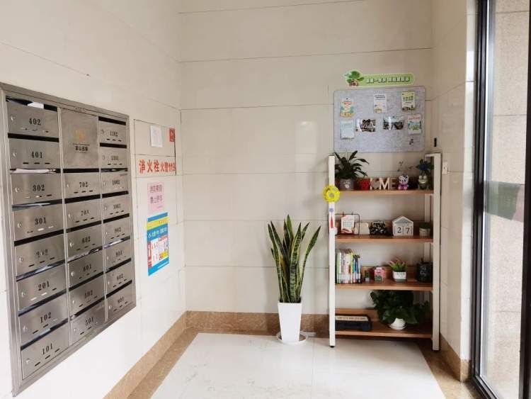 朱泾镇丨新时代文明实践：文明新风在楼道荡漾，朱泾钟楼居民区文化馨香润心田