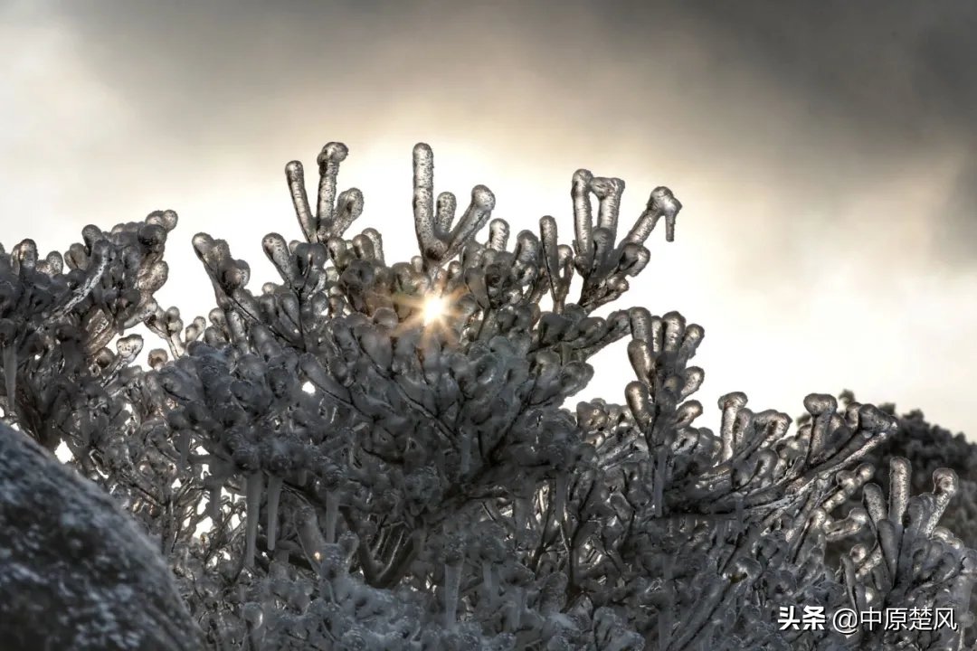 疫情|行走河南 读懂中国河南人游河南｜绿色崛起鸡公山 美好生活看信阳