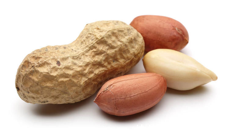 胆固醇|生花生和熟花生哪个更营养?医生:其实很多人都理解错了