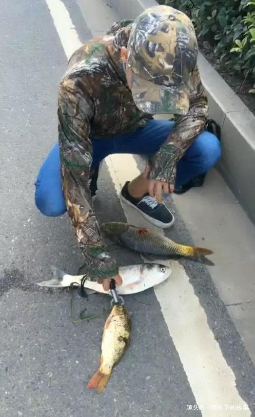 古城护城河潜伏一二十年,长成几十斤鱼王,被小伙射中捞起