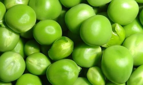 种子选手|哪些食物可以降血脂？这5种都是“贫民窟”里的“种子选手”！
