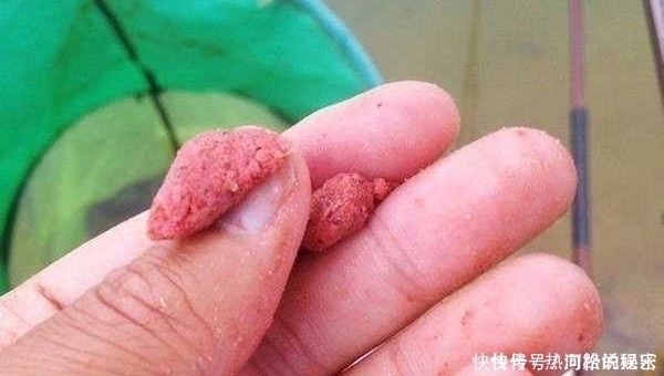浮漂|扎蛤蟆钓法的操作要点,黑坑不会这一招,鱼要被人抢光