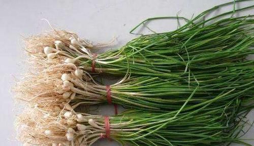 散结|一个千年神方，3味药，通阳散结，驱走心绞痛、心肌梗死、冠心病