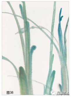 教程@图文教程——芭蕉画法