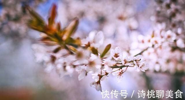 抗癌|花费百万赴美抗癌只为延长一点生命,这样做到底值不值?