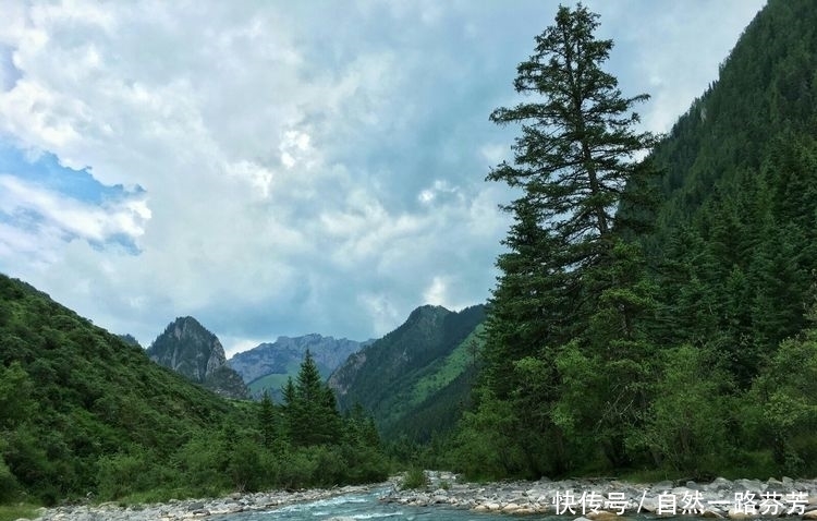 迭部|迭部措美，不忍错过的美丽