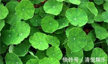 衰老|想长寿的人,要坚持吃3种食物,补充营养、延缓衰老,好处多多!