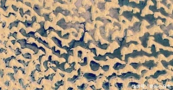 阿拉伯最大沙漠突降大雨,24小时下了9年的雨量,原因为何?