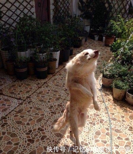 |搞笑图片幽默段子笑话:?大哥你扫的可不是垃圾,是纸币呢,哈哈