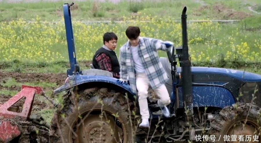 张艺兴拿到拖拉机驾照上热搜,看到有效期后,他真要常驻蘑菇屋了